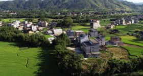農業農村部辦公廳關于印發《2020年鄉村產業工作要點》的通知
